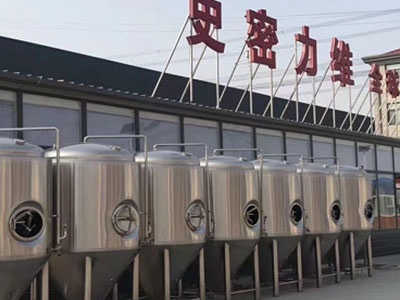 三门精酿啤酒设备厂—如何判断精酿啤酒设备的密封件需要更换？